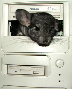 прикрепленный файл