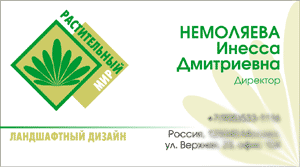 визитка