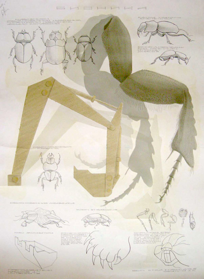 проектная графика_бионика