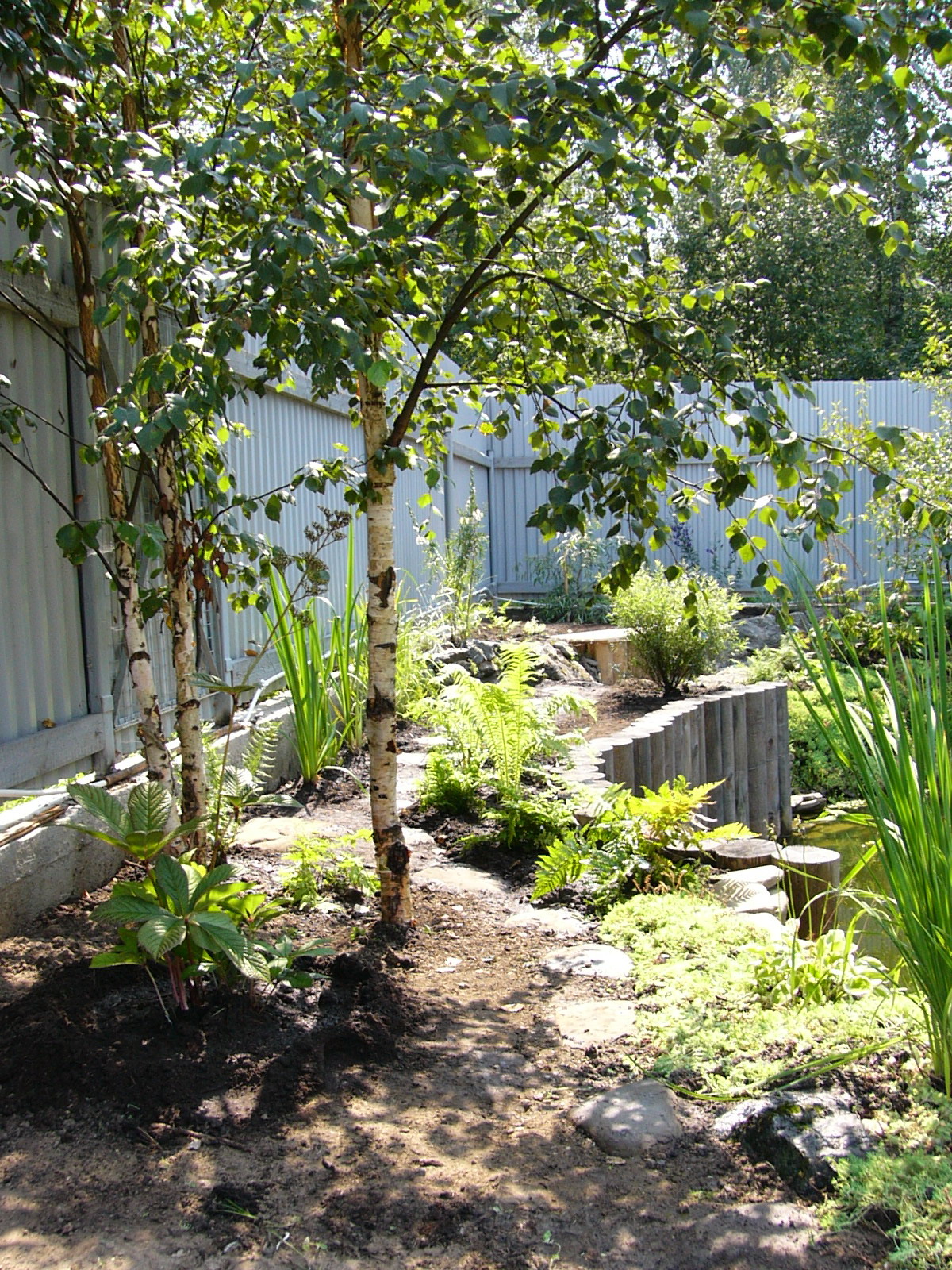 оформление прибрежной зоны водоема