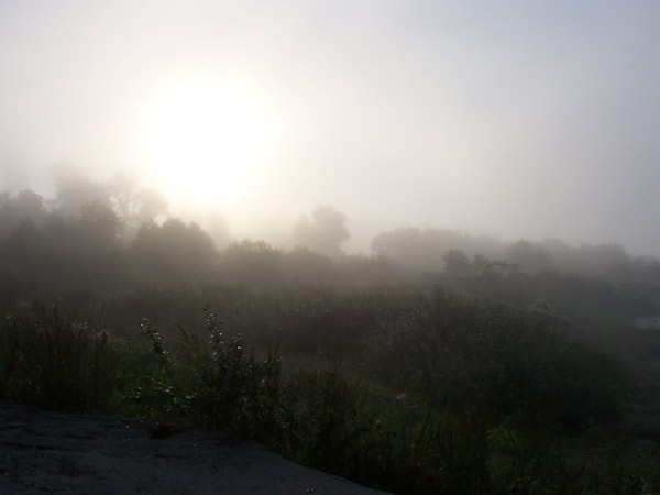 Первый пароходный гудок