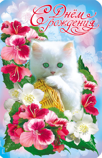 поздравительная открытка