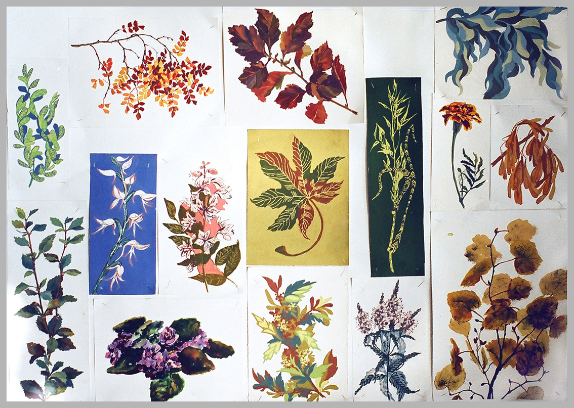 декоративные зарисовки растений