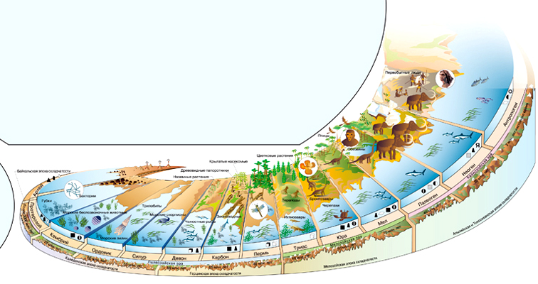 Эволюция жизни на земле