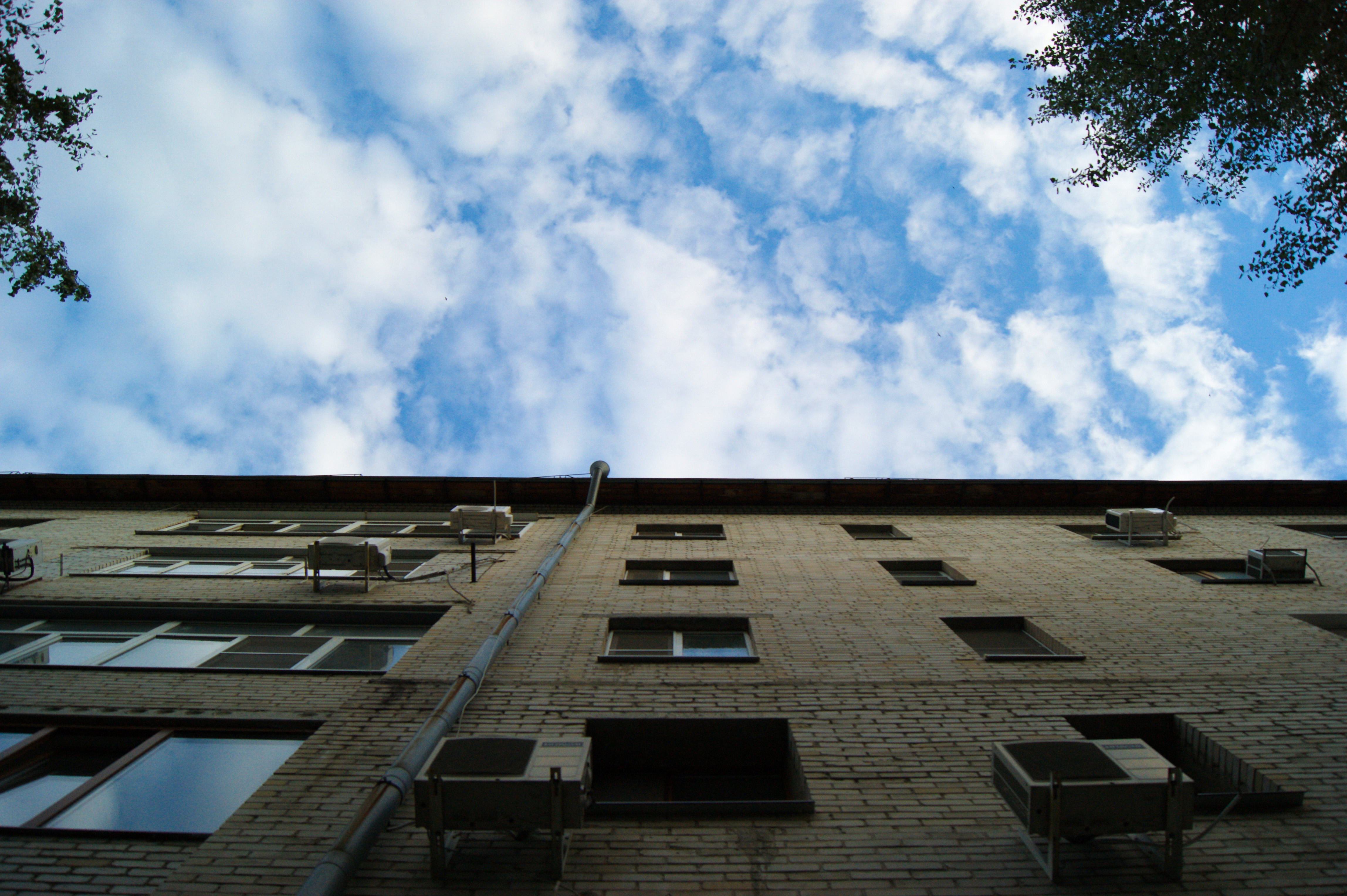 Уникальная обработка фотографии с "живыми цветами"