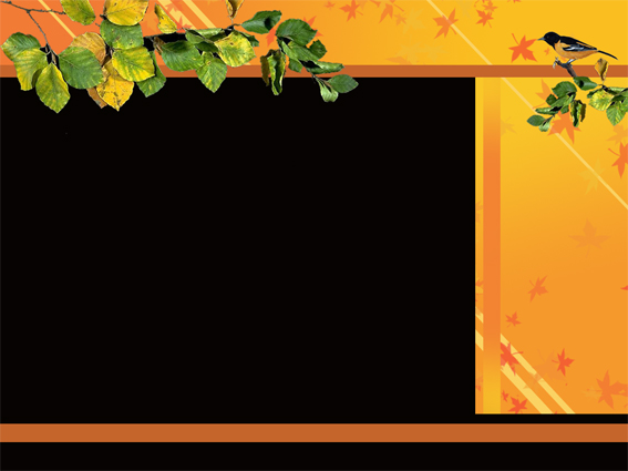 Дизайн чата