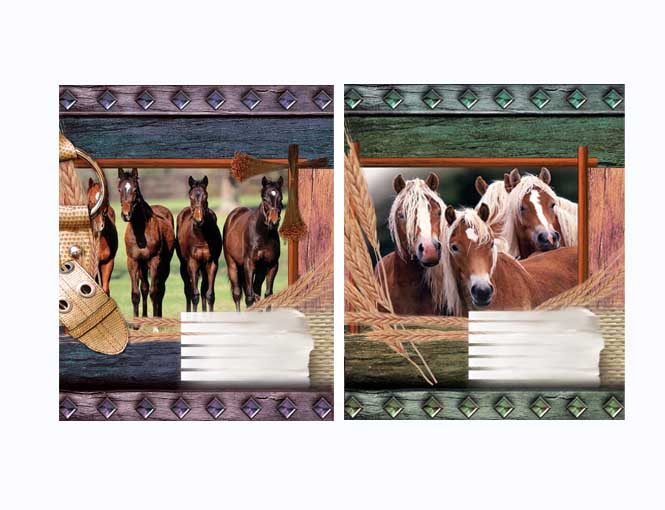 дизайн обложки школьной тетради