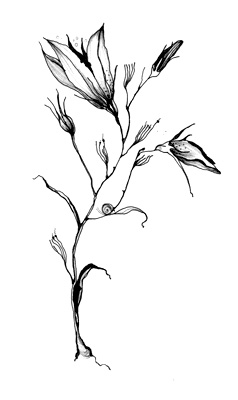 Иллюстрации к книгам "Красный квадрат" и "Арабески&quot