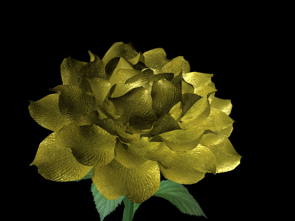 Золотая роза