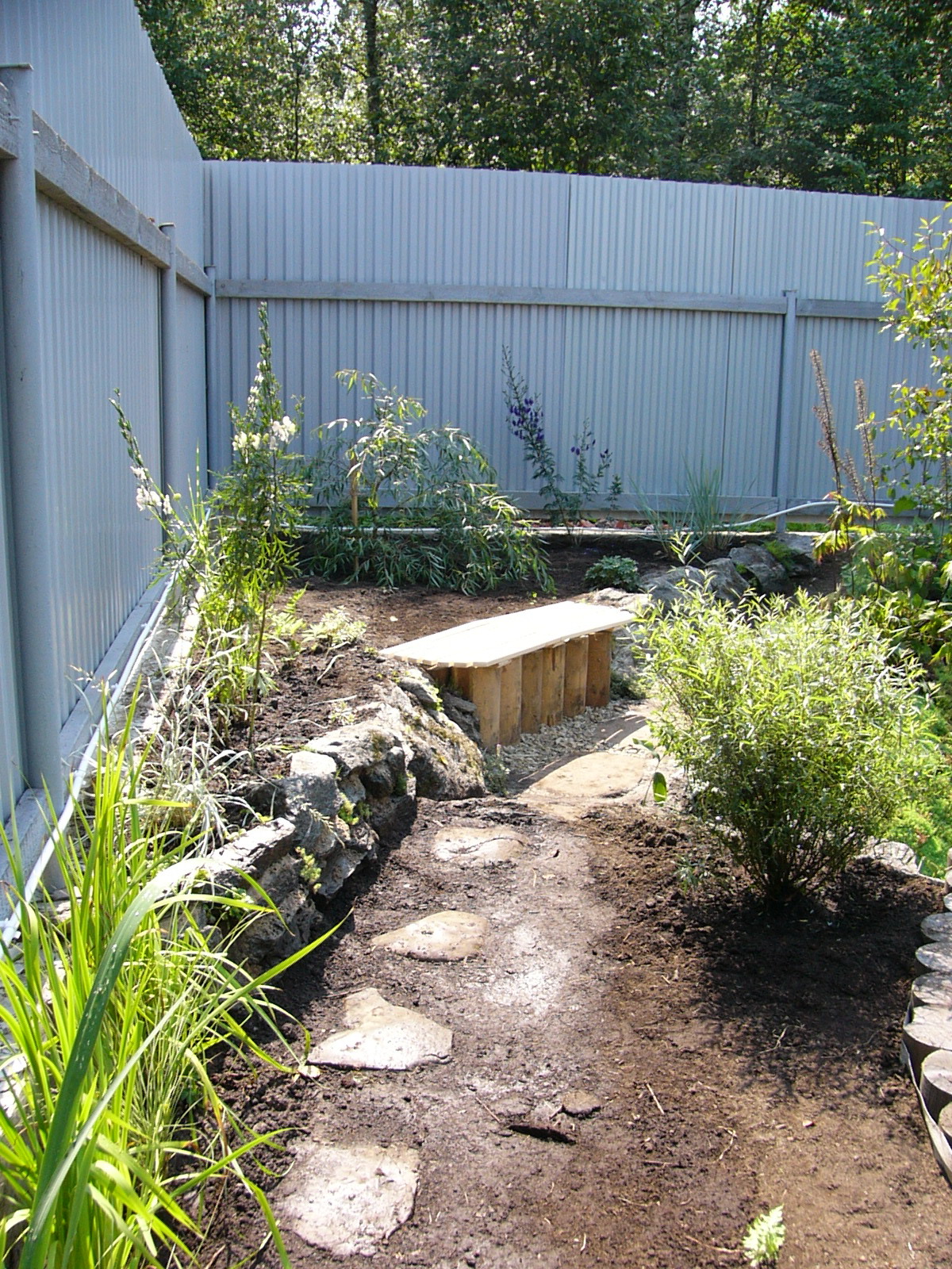 оформление прибрежной зоны водоема