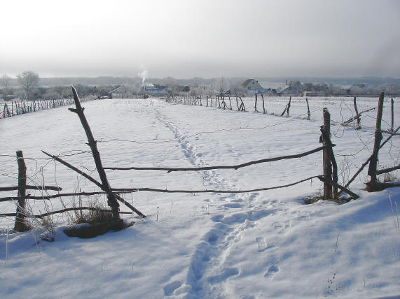"Снежная тропинка"