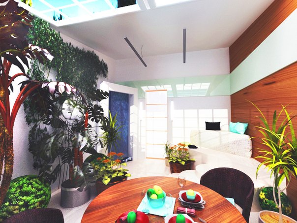 Проект зимнего сада.