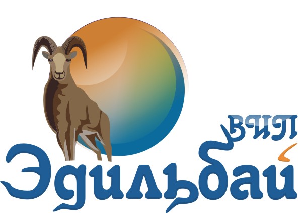 Лого для интернет-магазина "Эдильбай ВИП"