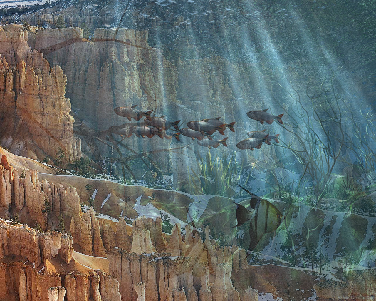 Горная форель