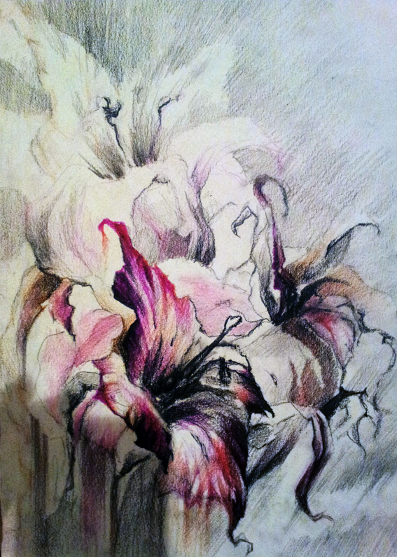 Дикорастущие