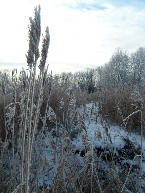 Копья в небо
