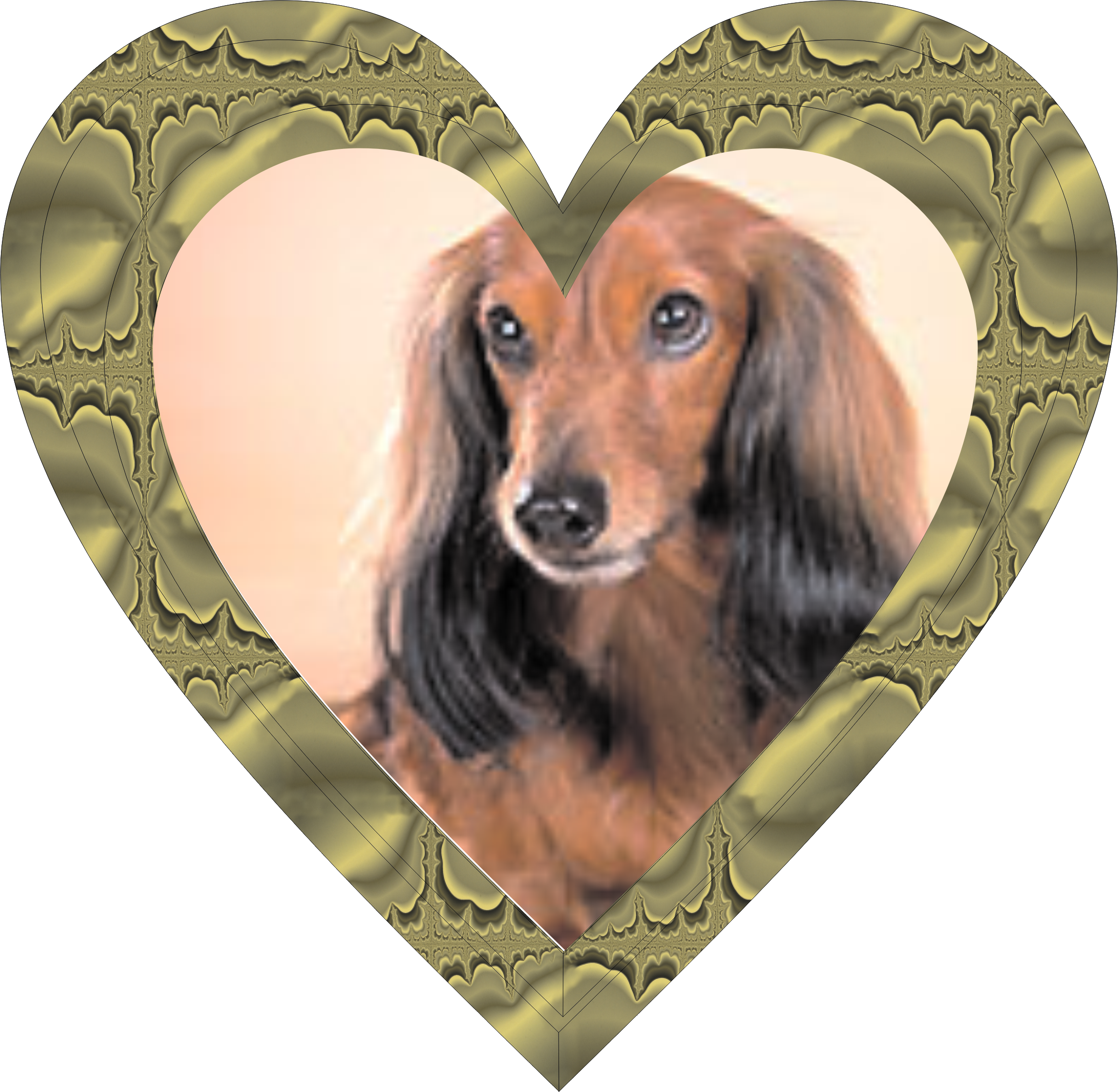 Собачка в рамке