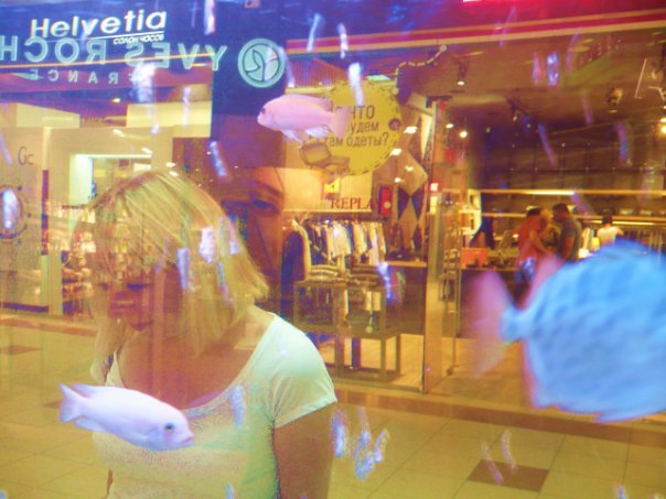 прозрачный мир