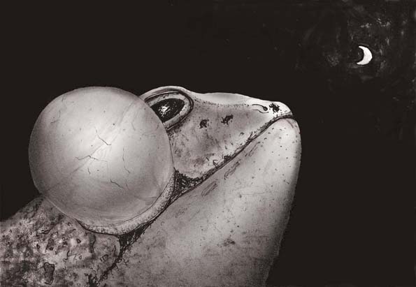 иллюстрация4