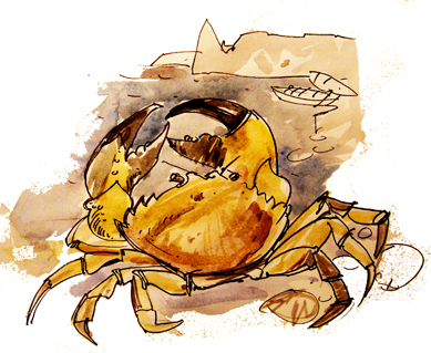 рисунок для этикетки