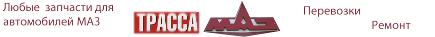 Логотип компании "ТрассаМаз"