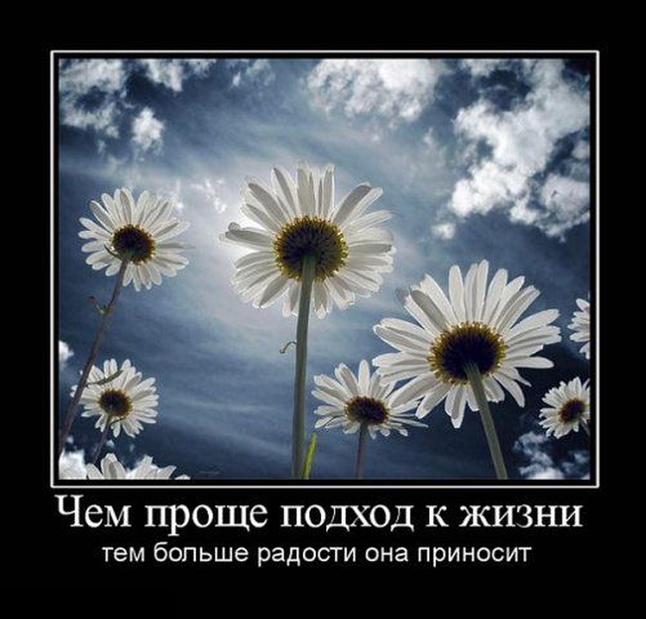 Стихотворение "Чужие сны и я"