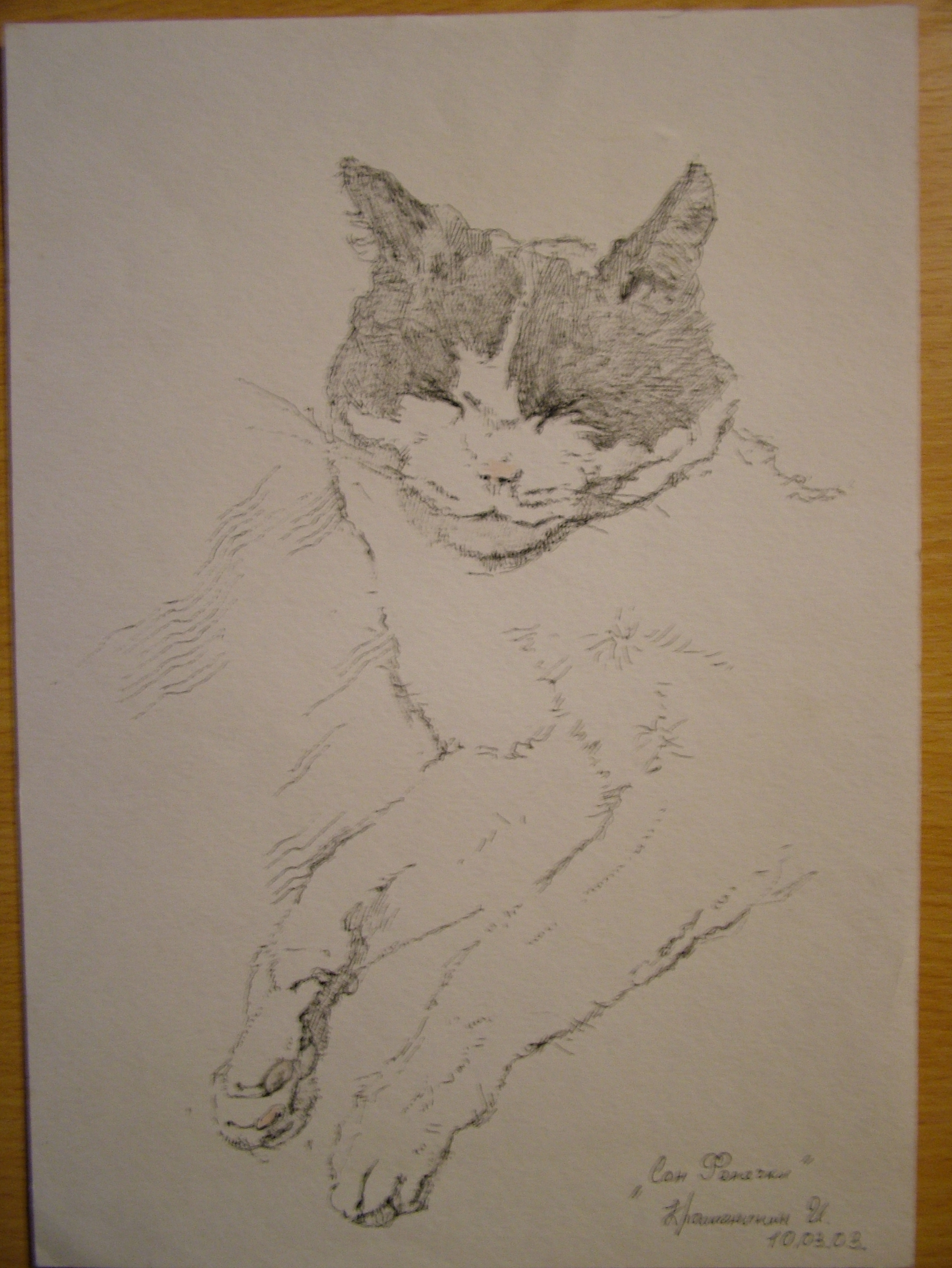 Сон Фенечки.