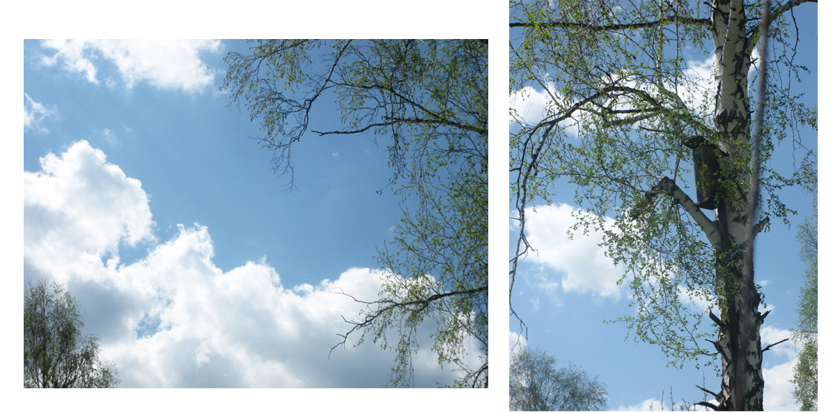 Какое небо голубое