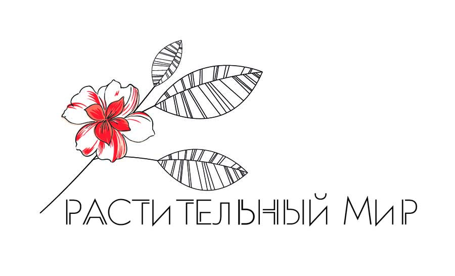 один из вариантов логотипа для компании "Растительный мир"