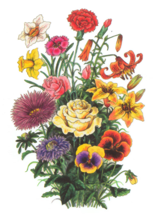 акварель "букет"