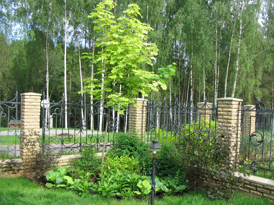 Ландшафтный дизайн