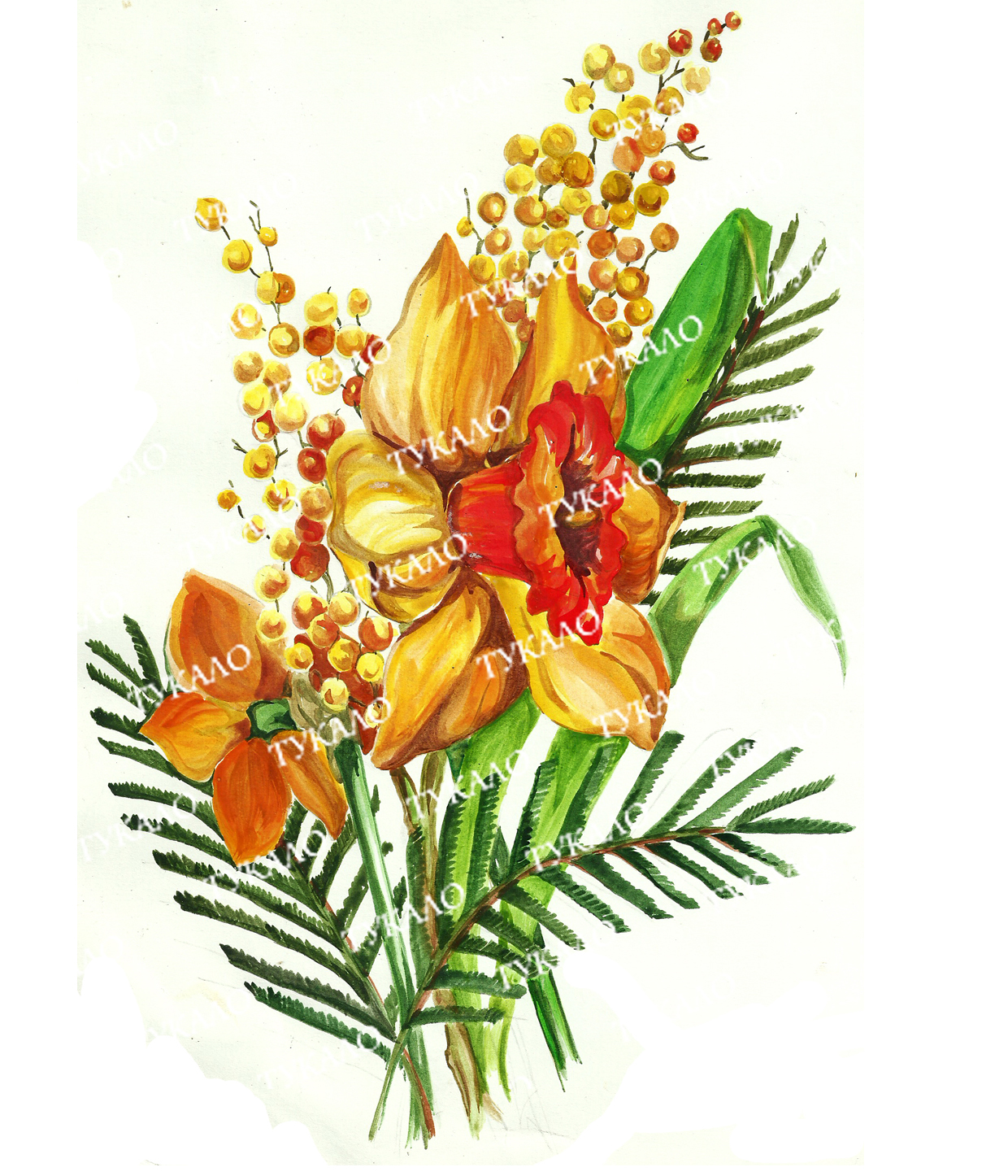 цветы, мимоза, нарцис, акварель