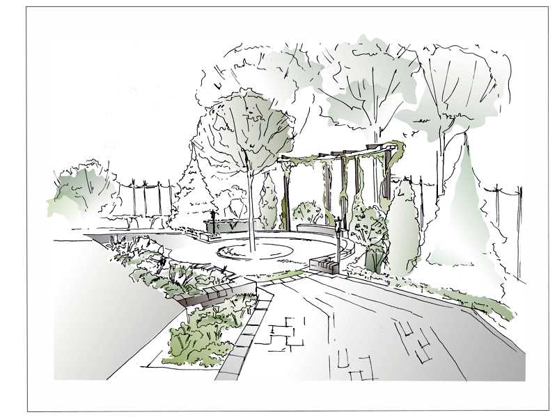 Видовой кадр, Петергоф