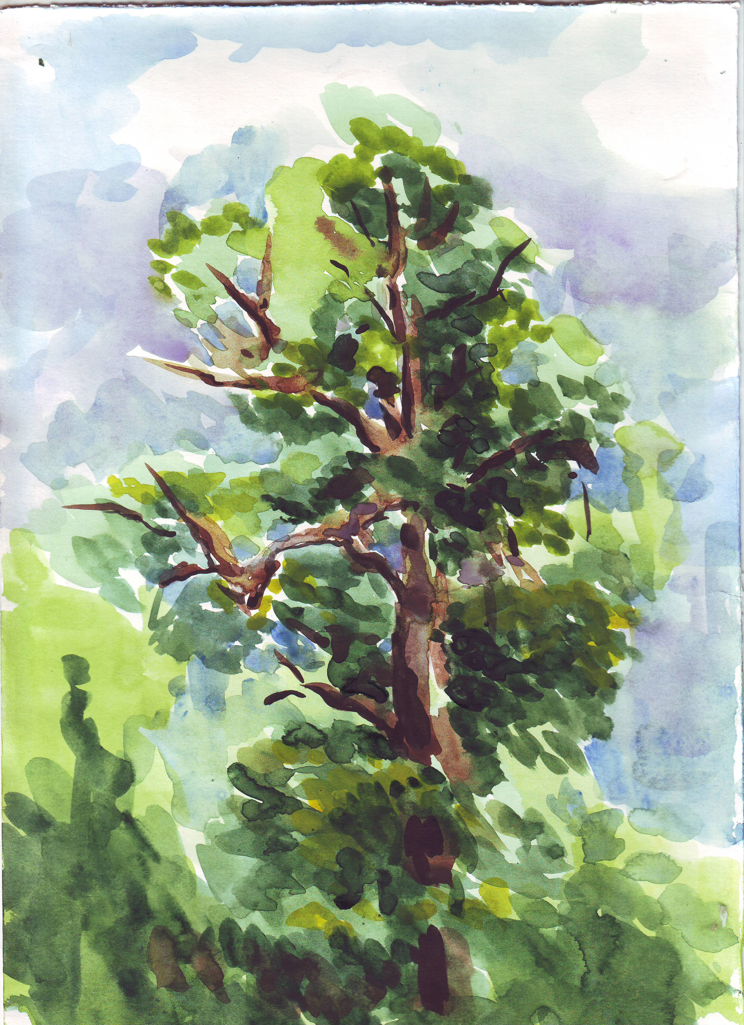 Учебный этюд.