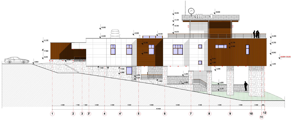 частный жилой дом "дом на столбах"
