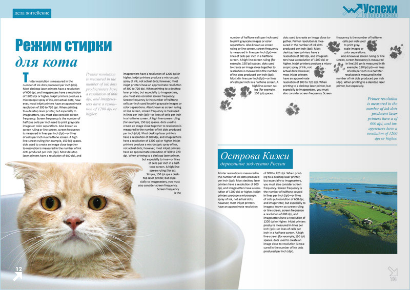 Разворот журнала