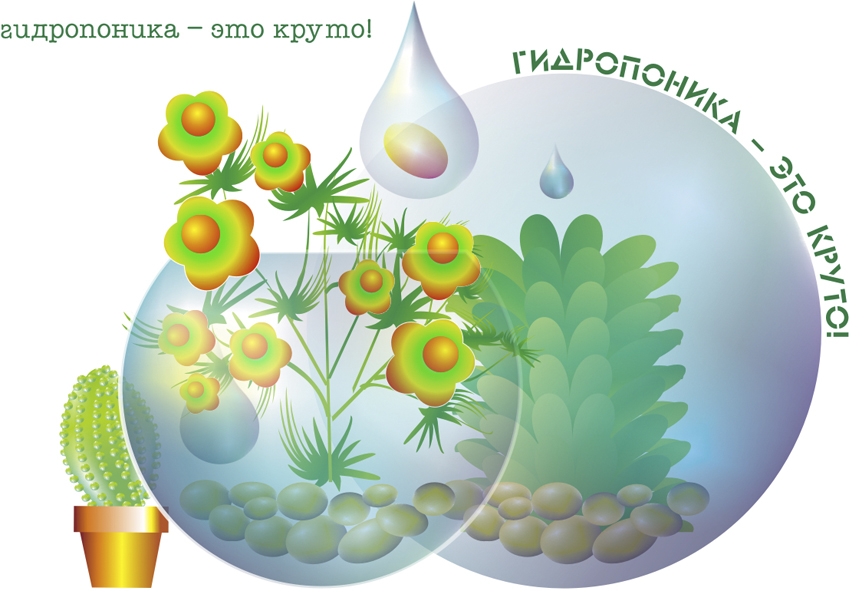 комнатное цветоводство...