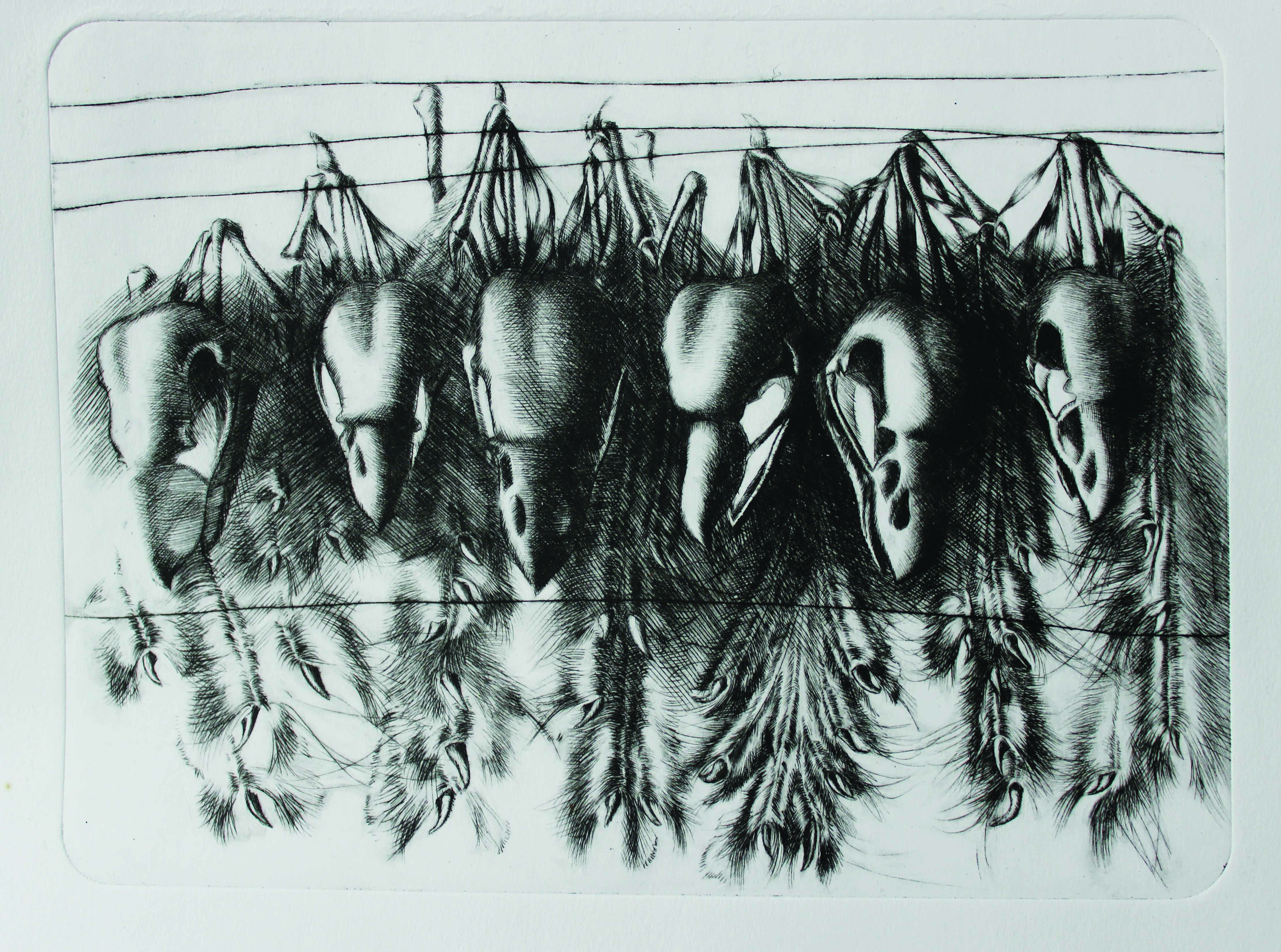 "Впіймати птаха"