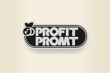 Логотип компании "Profit Promt" (3)