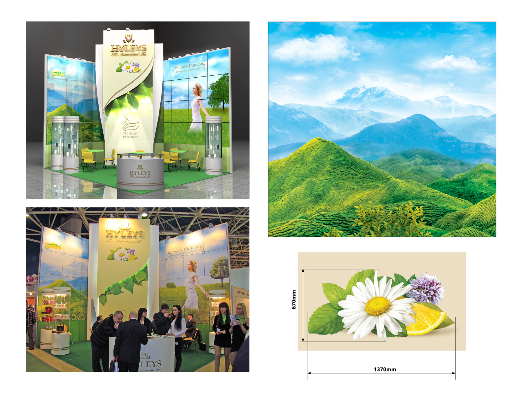 Отрисованные баннеры для выставки