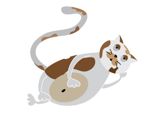 Кот без хлопот