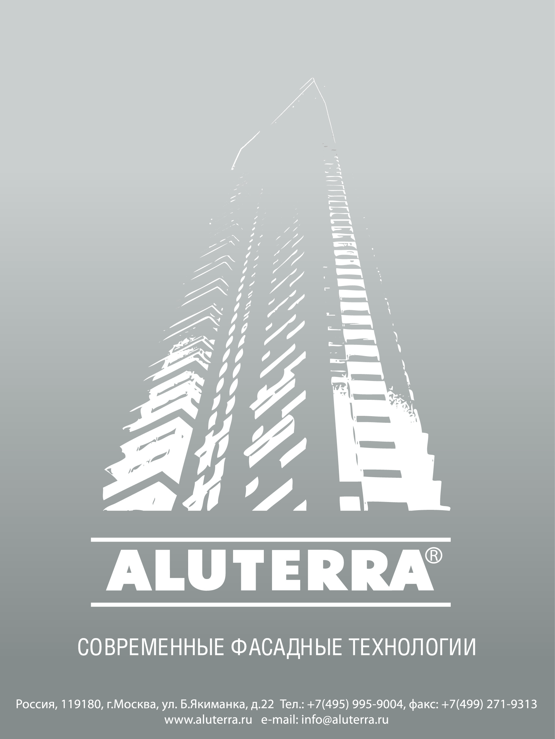 макет пакета бумажного Алютерра