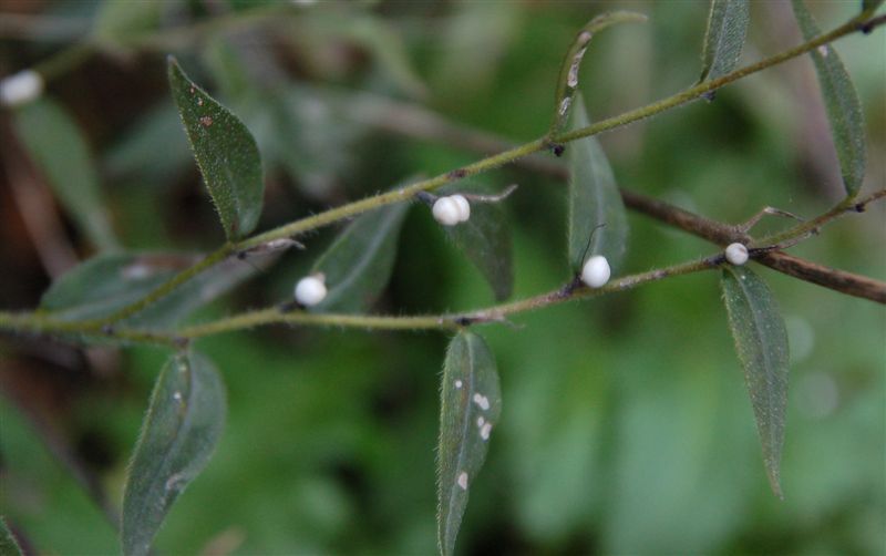 Краски зимы