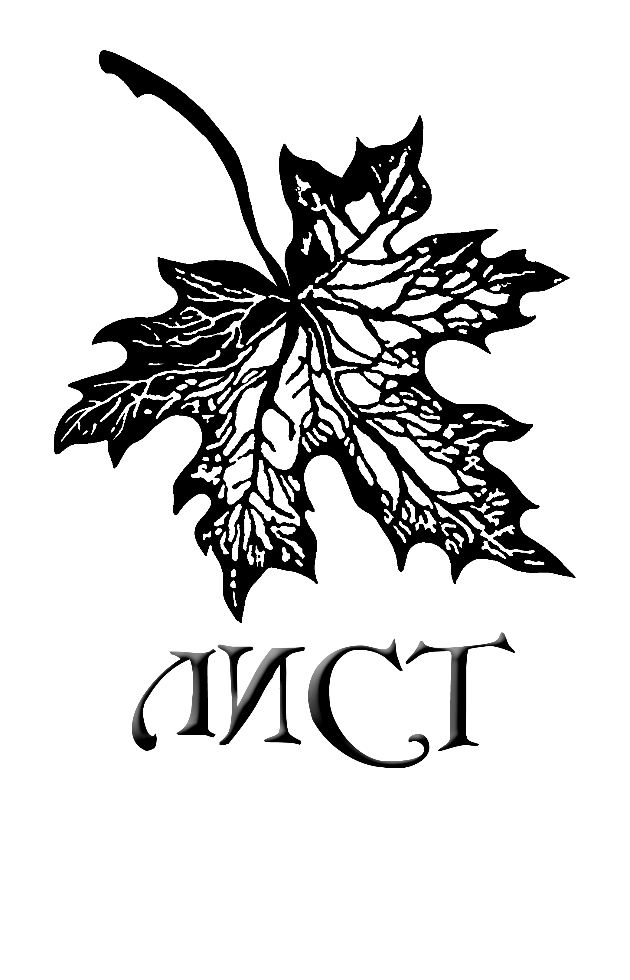 Лицей информационных технологий