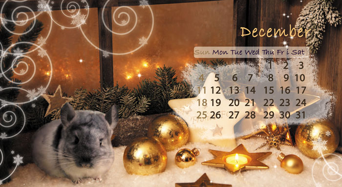 Календарь. Декабрь