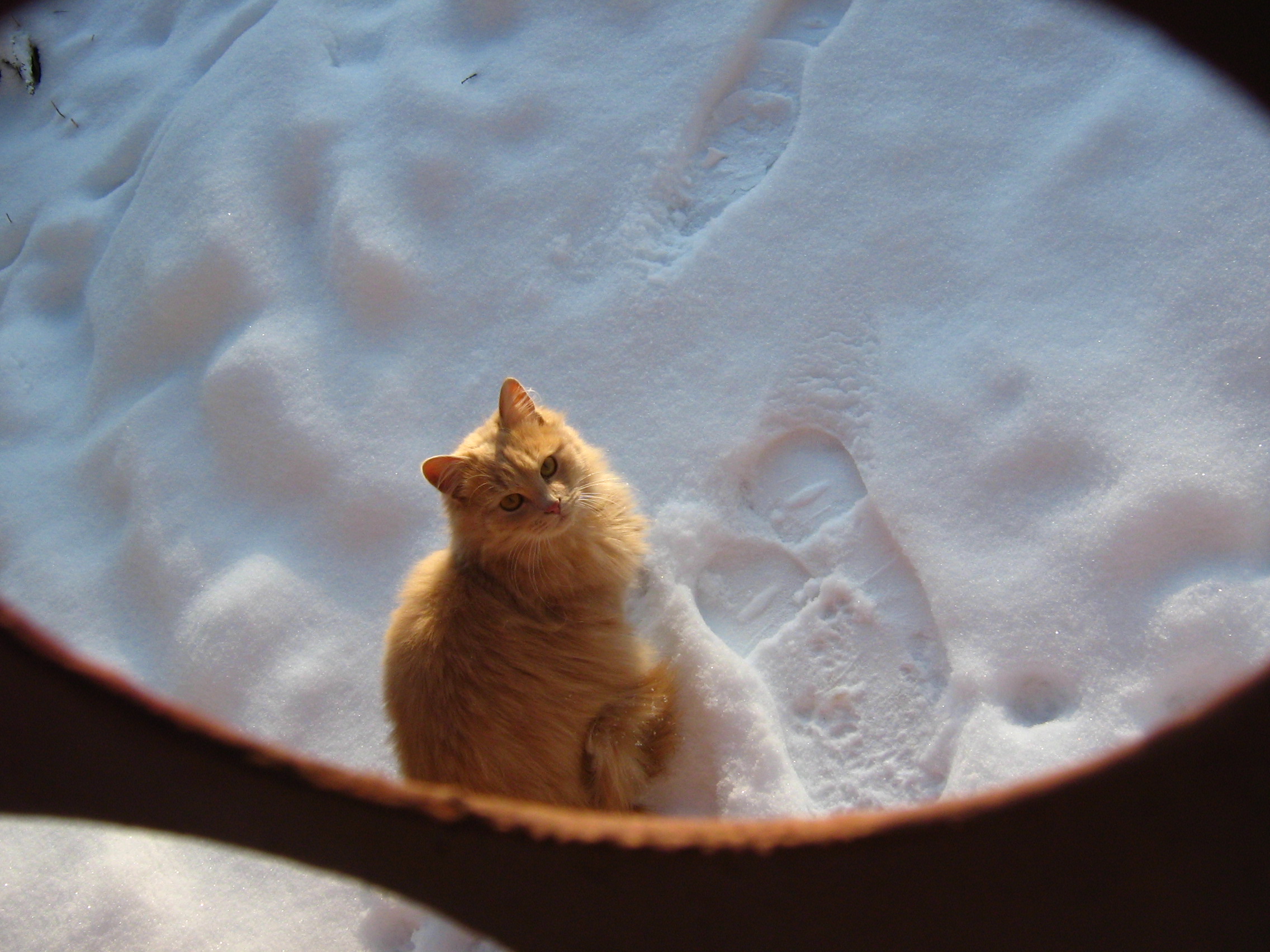 Творческий взгляд