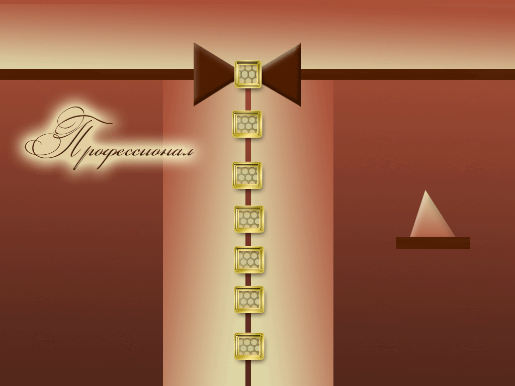 пофессионал