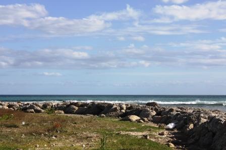 Карибы. Фото продается.