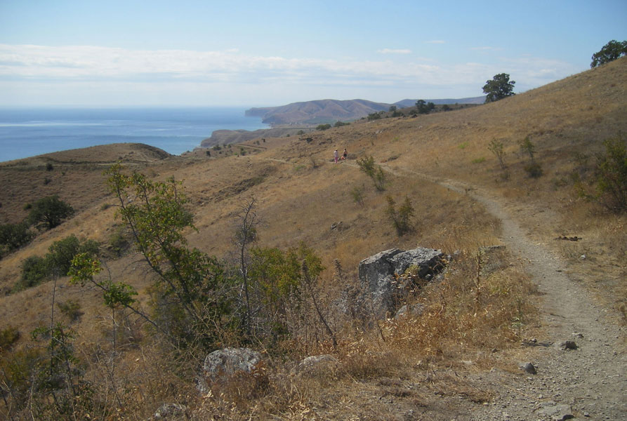 Без названия