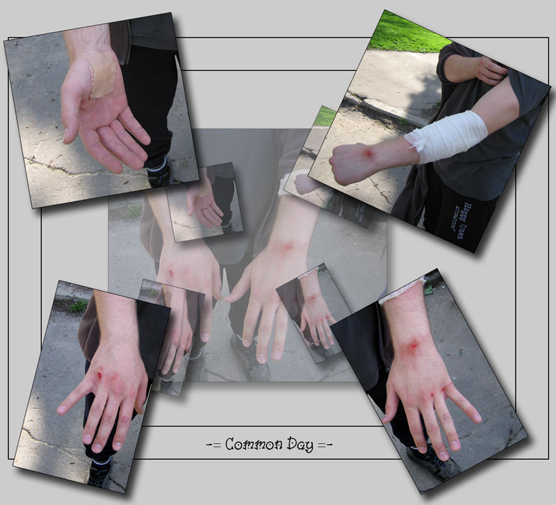 Обычный день велосипедиста